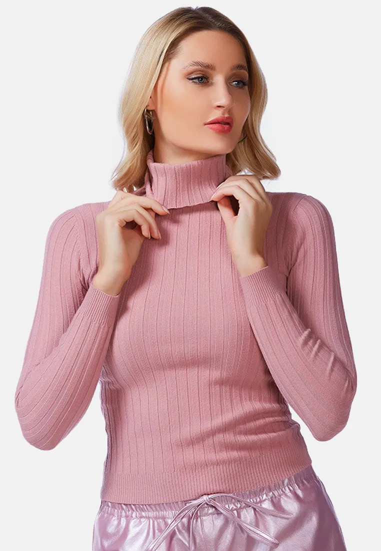 Full Sleeve Rib Knit Turtle Neck Top