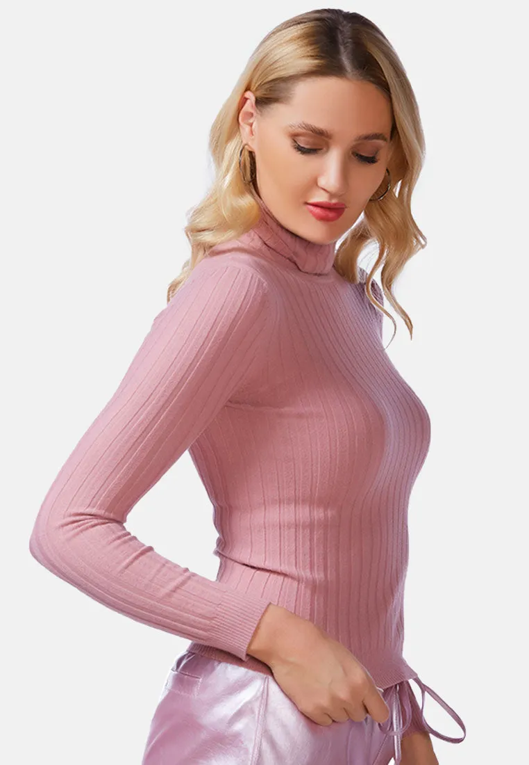 Full Sleeve Rib Knit Turtle Neck Top