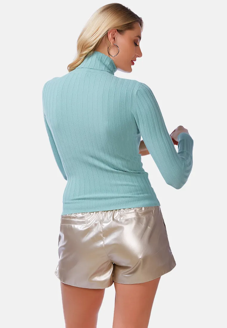 Full Sleeve Rib Knit Turtle Neck Top